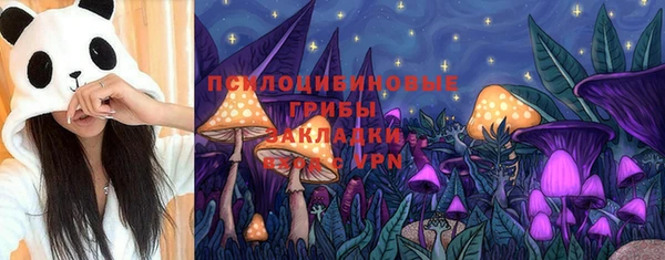 индика Абдулино